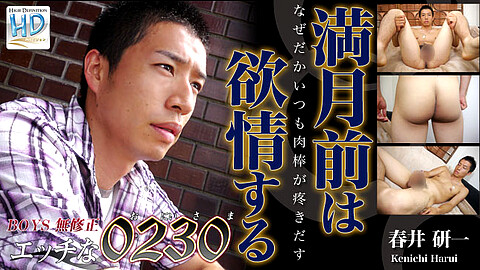 H0230 Kenichi Harui