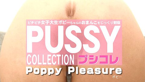 Kin8tengoku Poppy Pleasure